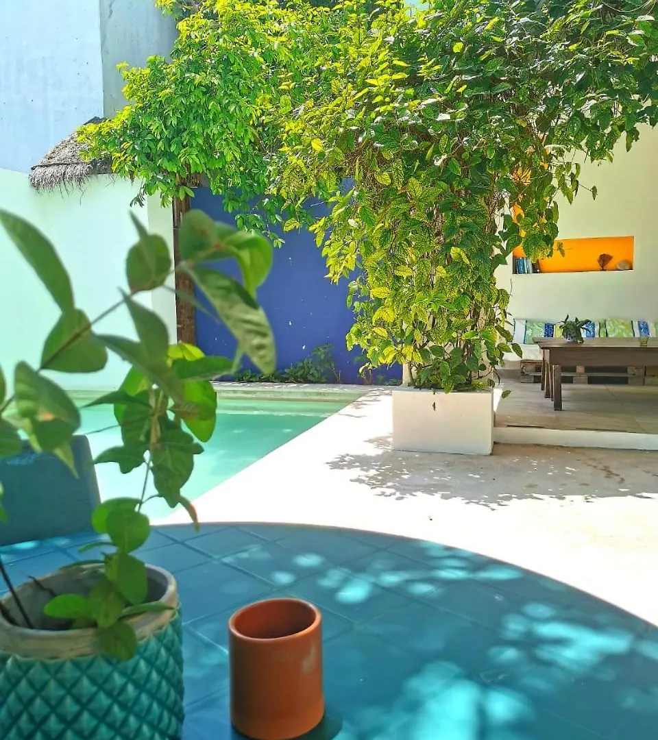 Hostel Humanity Puerto Morelos 0*,  Mexique