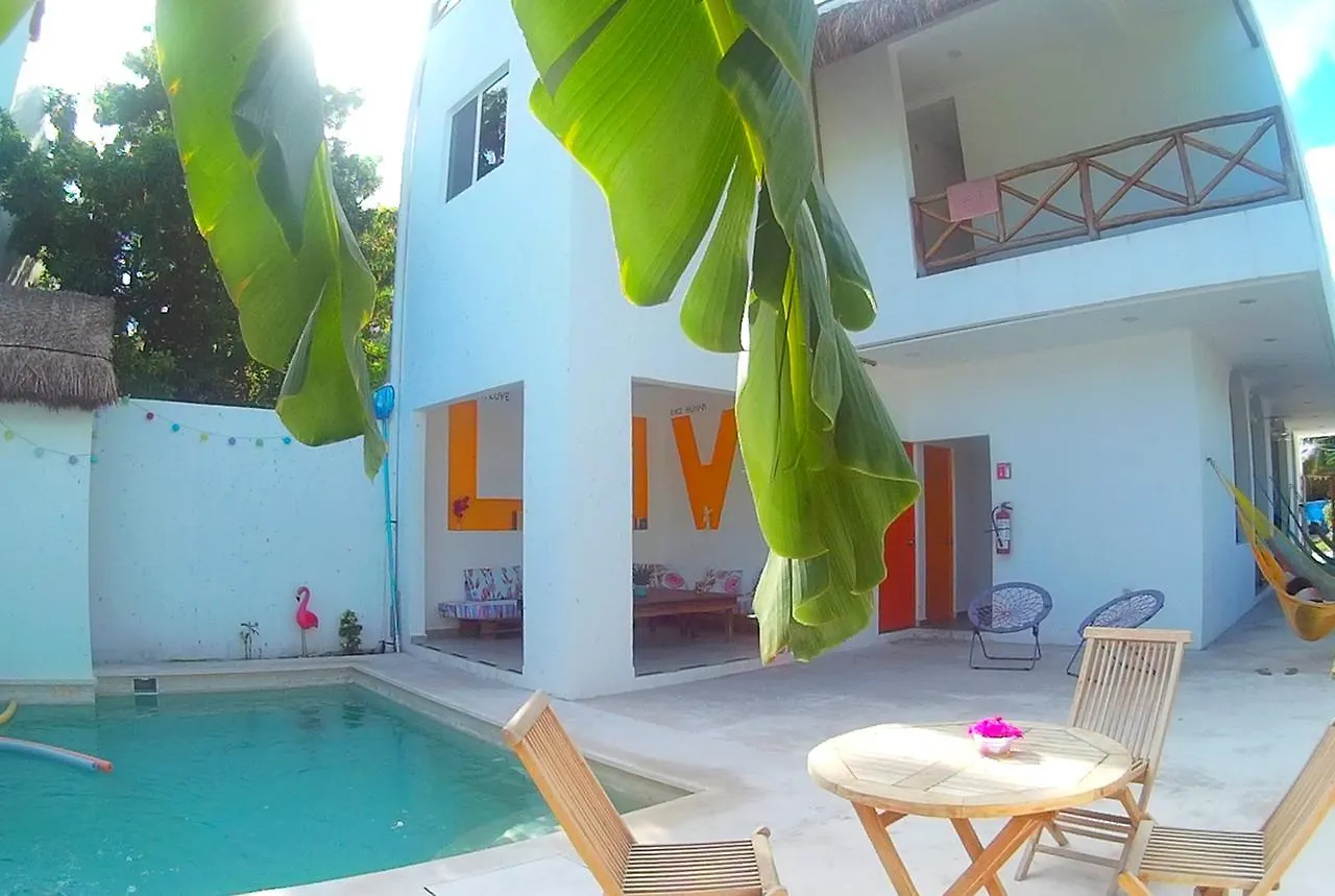 Hostel Humanity Puerto Morelos Mexique