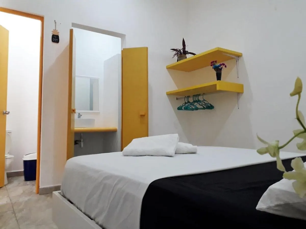 Hostel Humanity 푸에르토 모렐로스